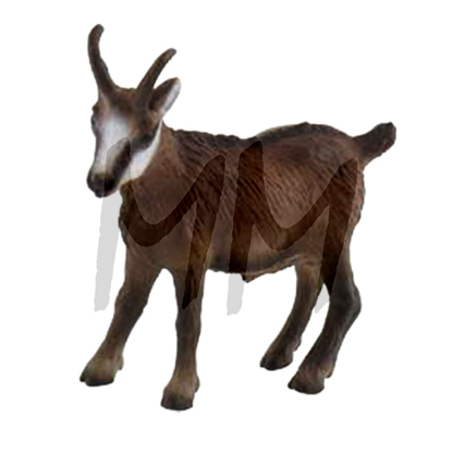 Igrača GAMS Igrača GAMS