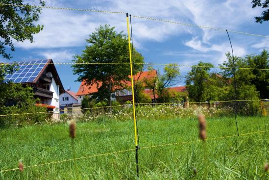 MREŽA za drobnico EasyNet (105 cm -50 m) - enojna konica