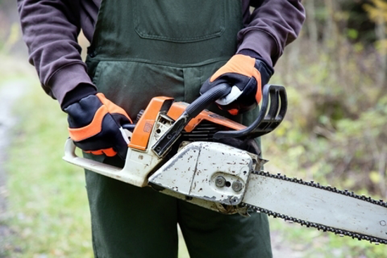 Fotografija izdelka Gozdarske rokavice (10/XL) – protiurezna zaščita leve roke