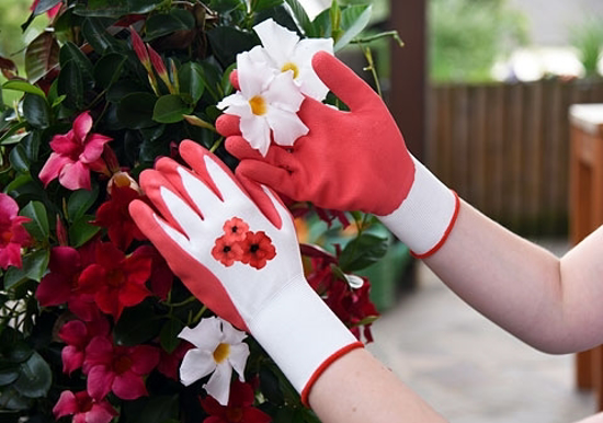 Fotografija izdelka Vrtnarske ROKAVICE GardenCare (št. 8/M) rdeče