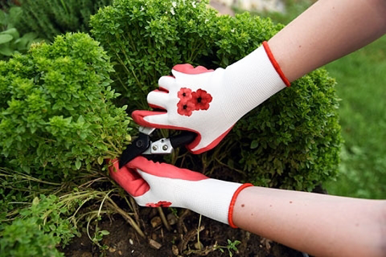 Fotografija izdelka Vrtnarske ROKAVICE GardenCare (št. 8/M) rdeče