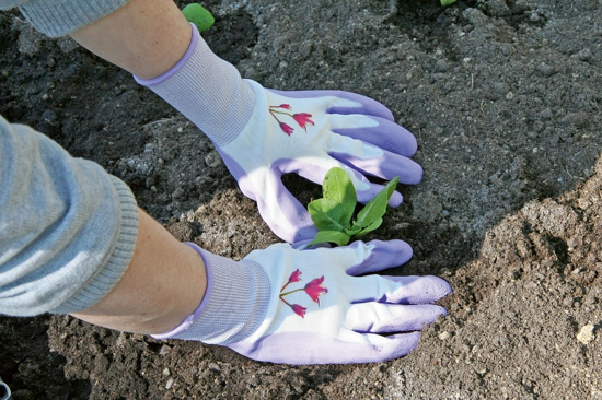 Fotografija izdelka Vrtnarske ROKAVICE GardenCare (št. 8/M) vijolične