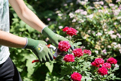 Prikaži podrobnosti za  Otroške ROKAVICE TOWA (4–6 let) zelene Fotografija izdelka Otroške ROKAVICE TOWA (4–6 let) zelene