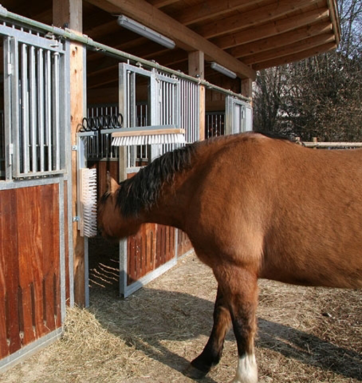 Fotografija izdelka KOTNA KRTAČA za govedo TEXAS