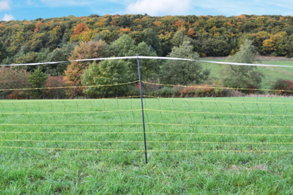 Fotografija izdelka Mreža proti divjadi (145 cm - 50 m) dvojna konica