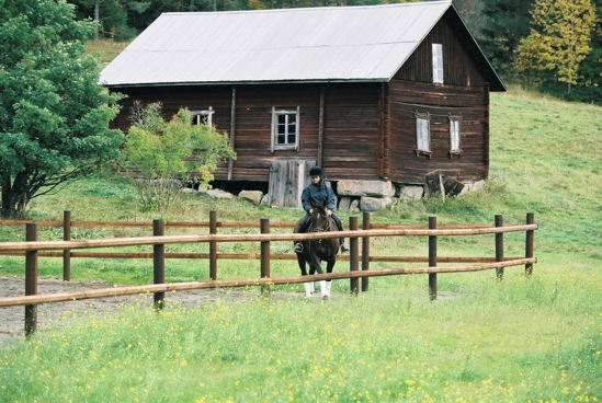 Fotografija izdelka Steber OctoWood (10 cm x 200 cm - linijski)