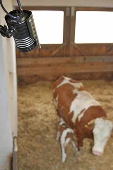 Fotografija izdelka Dodatna kamera z zunanjo anteno