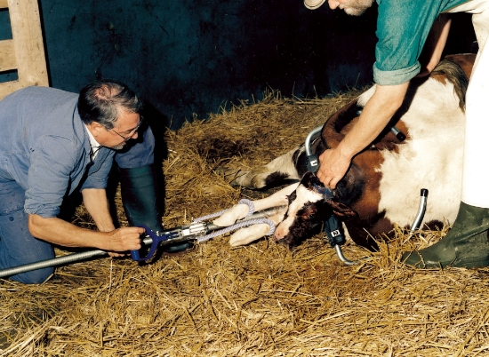 Fotografija izdelka Porodna naprava (180 cm)