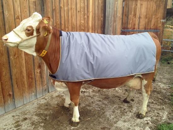 Fotografija izdelka Pokrivalo za krave (145cm)