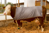 Fotografija izdelka Pokrivalo za krave (145cm)