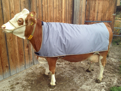 Fotografija izdelka Odeja za krave (175cm)