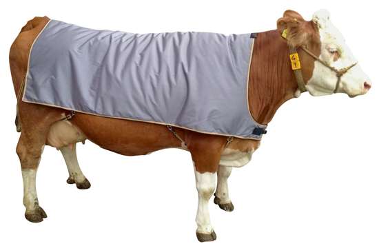 Fotografija izdelka Odeja za krave (175cm)