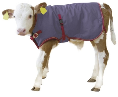 Fotografija izdelka Pokrivalo za teleta Thermoplus - 80 cm