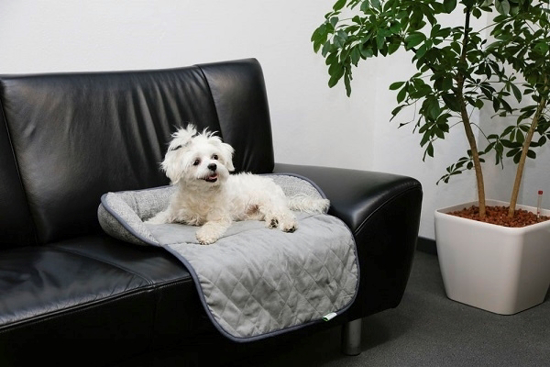 Fotografija izdelka Kavč blazina za pse Emalia - 98 cm