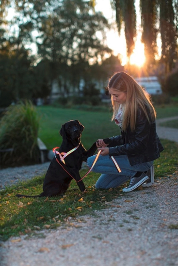 Fotografija izdelka Odsevna oprsnica za psa Reflective - M