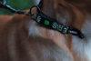 Fotografija izdelka Odsevna ovratnica za psa Shiny Night - S