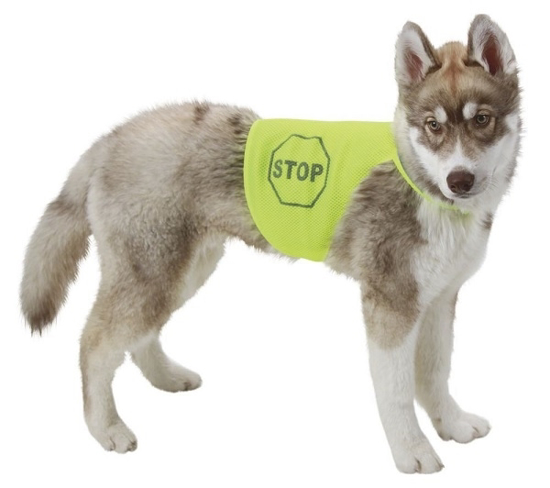 Fotografija izdelka Varnostni jopič za psa - XL