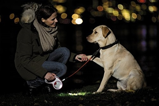 Fotografija izdelka Flexi LED lučka za povodec