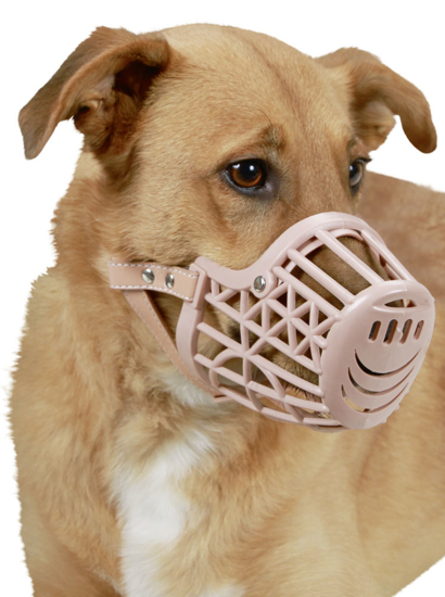 Fotografija izdelka Plastičen nagobčnik za psa - L
