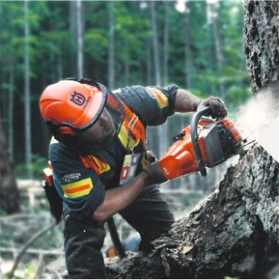 Fotografija izdelka Verižna motorna žaga 560XP  (18˝)  Husqvarna