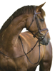 Fotografija izdelka Uzda klasična leder, rjava Pony
