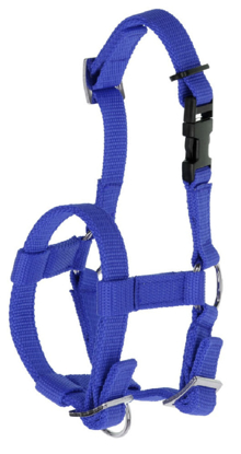 Prikaži podrobnosti za  Uzda za alpake nastavljiva  modra , KERBL Fotografija izdelka Uzda za alpake nastavljiva  modra , KERBL