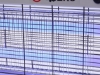 Fotografija izdelka Električni Uničevalec mrčesa 2x15 W, 60 m2