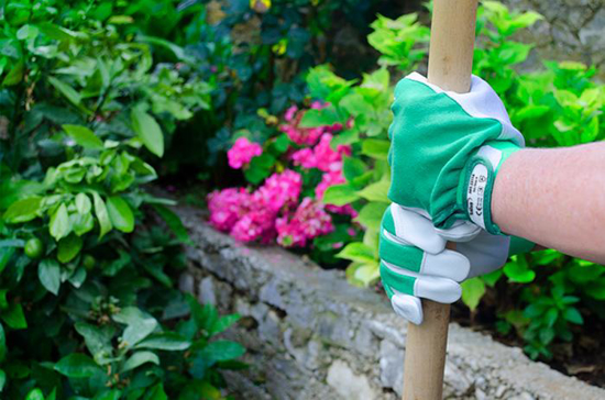 Fotografija izdelka Zaščitne rokavice Garden - velikost 10