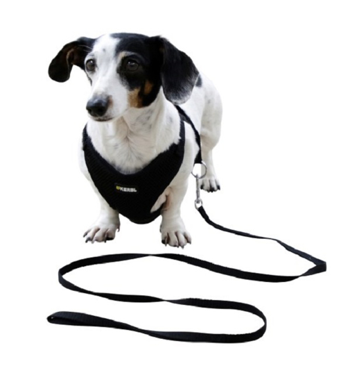 Fotografija izdelka Oprsnica in povodec za male pse - 24 -44 cm