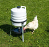 Fotografija izdelka Napajalnik za perutnino 30 L z ročko