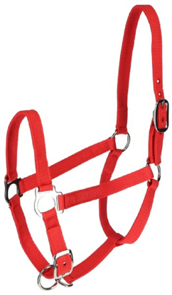 Prikaži podrobnosti za  Uzda za kravo - rdeča Fotografija izdelka Uzda za kravo - rdeča