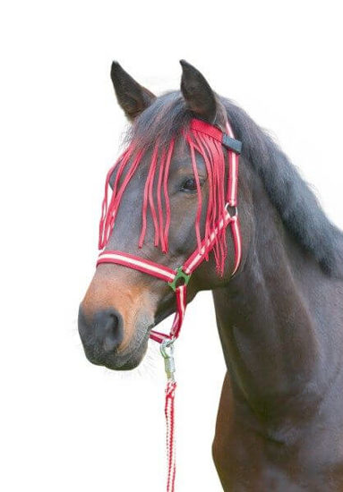 Fotografija izdelka Resice za oči velikost Pony