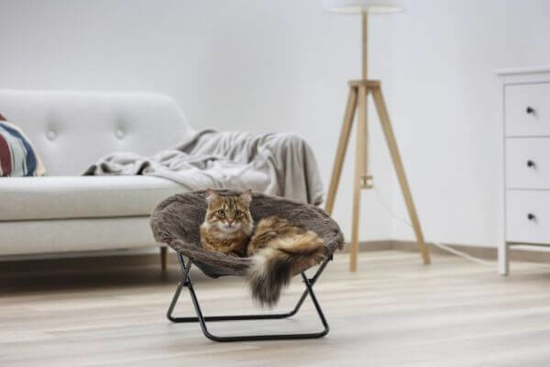 Fotografija izdelka Počivalnik za mačke, rjav (fi: 50 cm)
