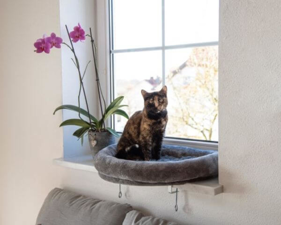 Fotografija izdelka Okensko ležišče za mačke (55 x 35 x 10 cm)