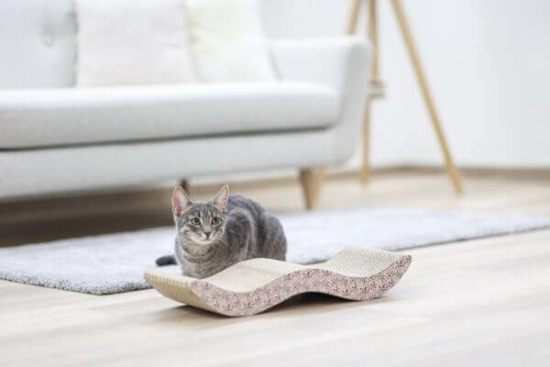 Fotografija izdelka Praskalna deska za mačke Browse  (45 x 18,5 x 8,5 cm)