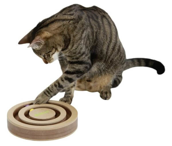 Fotografija izdelka Igrača za razmišljanje in  učenje mačke