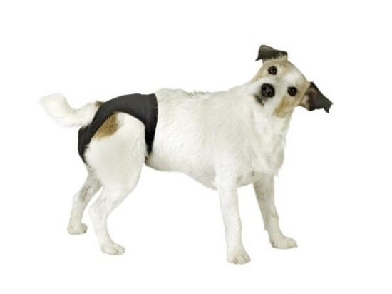 Fotografija izdelka Pasje hlače Luxus (38 - 45 cm)