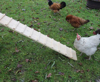 Fotografija izdelka Lesena lestev za kokoši  75 / 18 cm