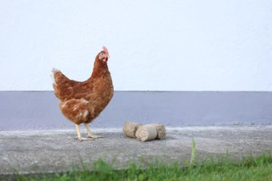 Fotografija izdelka Briketi iz pire za igro za  kokoši 24/1