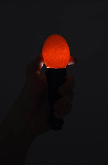 Fotografija izdelka LED svetilka za testiranje jajc 12 cm, 3W