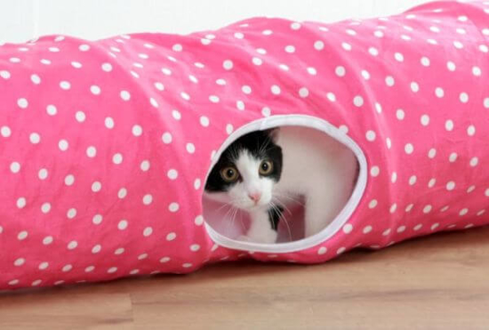 Fotografija izdelka Igralni tunel Puntino za mačke, Ø: 25 cm