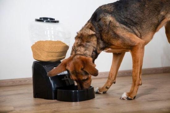 Fotografija izdelka Dozirnik za suho hrano Elect. Pet Feeder