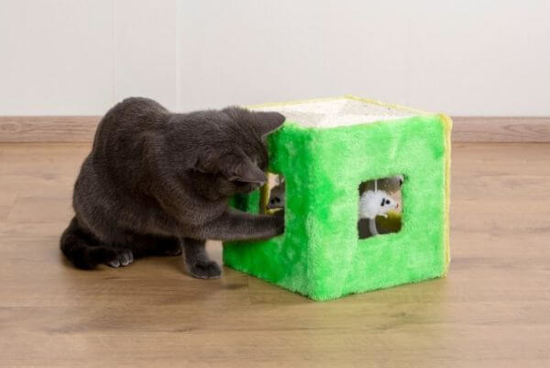 Fotografija izdelka Kocka za mačke Cube – igrača iz sisala z miškami