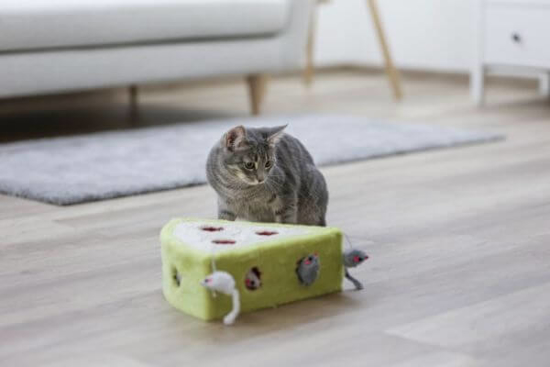 Fotografija izdelka Praskalnik za mačke v obliki  sira Cheesy - igrača z miškami