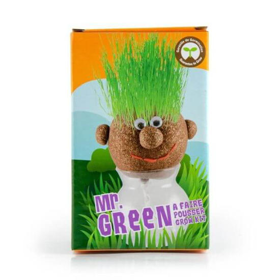 Fotografija izdelka Fantazijska glava Mr. Green - komplet