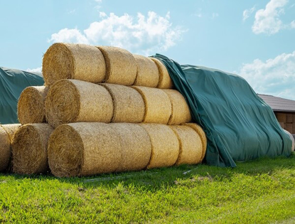 Prikaži podrobnosti za  Pokrivalo za bale 12,2 x 25 m 160g/m²  zeleno, UV-odporno, AGRIplus STRONG Fotografija izdelka Pokrivalo za bale 12,2 x 25 m 160g/m²  zeleno, UV-odporno, AGRIplus STRONG