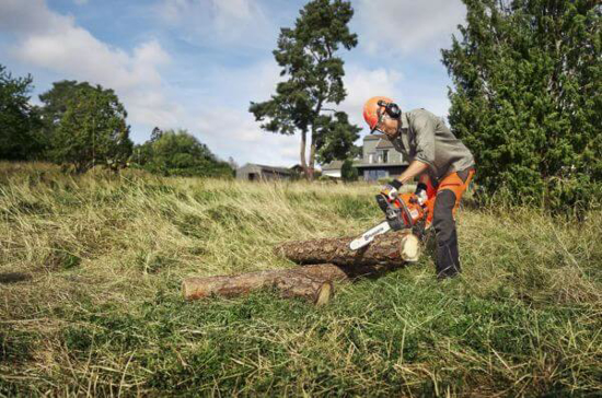 Fotografija izdelka Verižna motorna žaga Husqvarna 445 (15'')