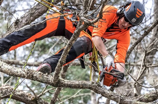 Fotografija izdelka Verižna motorna žaga T525 (10'') Husqvarna