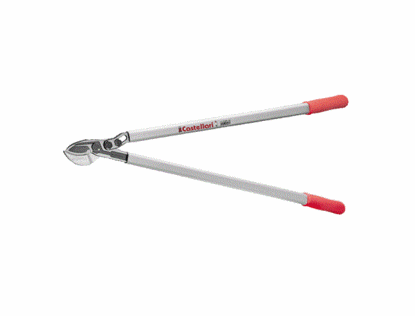 Prikaži podrobnosti za  Škarje TUCANO Castellari C 80 Fotografija izdelka Škarje TUCANO Castellari C 80