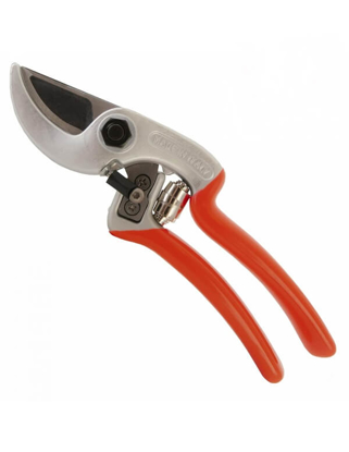 Prikaži podrobnosti za  Škarje ERGONOMIC Castellari Fotografija izdelka Škarje ERGONOMIC Castellari